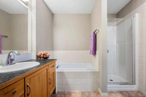 83 Saddlebrook Gardens Ne, Calgary, AB - Indoor Photo Showing Bathroom