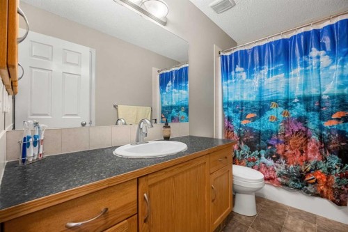 83 Saddlebrook Gardens Ne, Calgary, AB - Indoor Photo Showing Bathroom