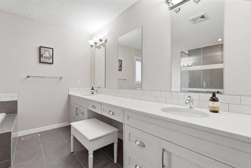 52 Walden Green Se, Calgary, AB - Indoor Photo Showing Bathroom