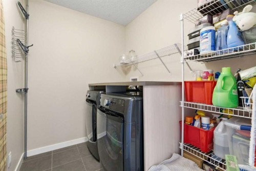 52 Walden Green Se, Calgary, AB - Indoor Photo Showing Laundry Room