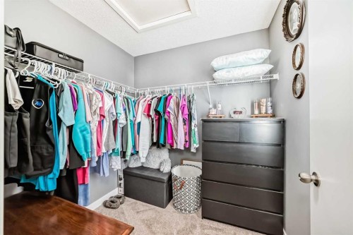 288 Copperstone Cove Se, Calgary, AB - Indoor With Storage