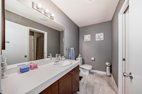 288 Copperstone Cove Se, Calgary, AB - Indoor Photo Showing Bathroom