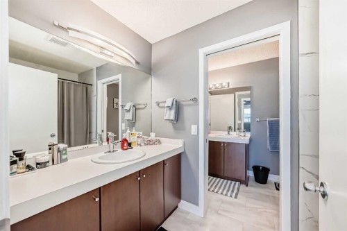 288 Copperstone Cove Se, Calgary, AB - Indoor Photo Showing Bathroom