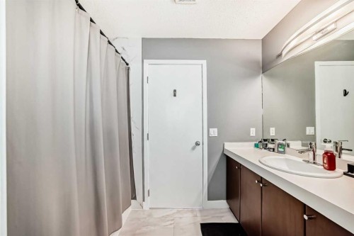 288 Copperstone Cove Se, Calgary, AB - Indoor Photo Showing Bathroom