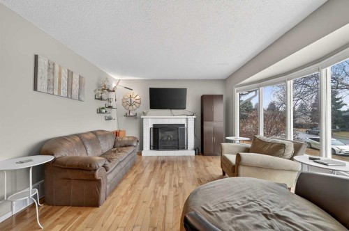 103 Macewan Drive Nw, Calgary, AB - Indoor Photo Showing Living Room With Fireplace
