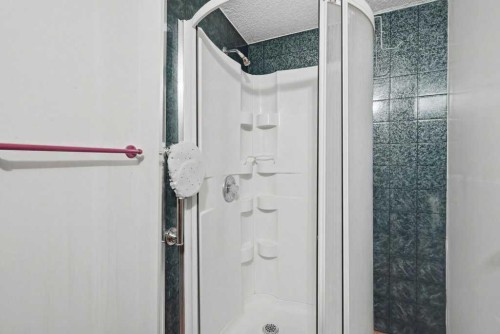 119 Macewan Meadow Way Nw, Calgary, AB - Indoor Photo Showing Bathroom