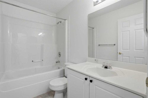 137 Taravista Crescent Ne, Calgary, AB - Indoor Photo Showing Bathroom