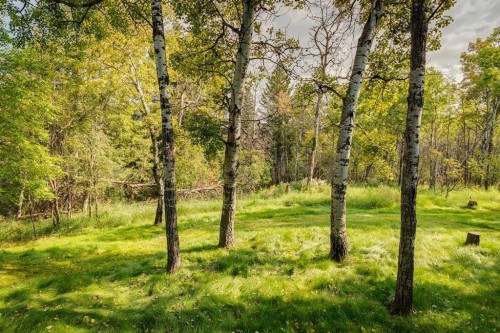 88 Woodacres Drive Sw, Calgary, AB - Outdoor With View