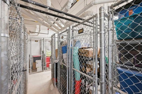 2303-76 Cornerstone Passage Ne, Calgary, AB - Indoor With Storage