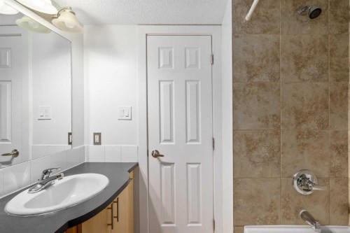 101-655 Meredith Road Ne, Calgary, AB - Indoor Photo Showing Bathroom