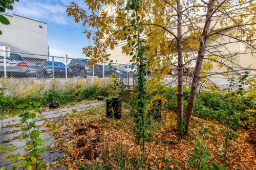 2032 34 Avenue Sw, Calgary, AB 