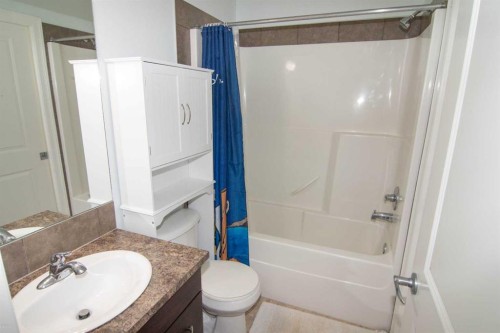 132 Copperpond Boulevard Se, Calgary, AB - Indoor Photo Showing Bathroom