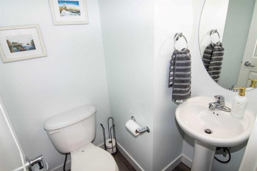 132 Copperpond Boulevard Se, Calgary, AB - Indoor Photo Showing Bathroom