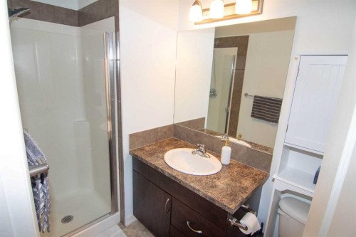 132 Copperpond Boulevard Se, Calgary, AB - Indoor Photo Showing Bathroom