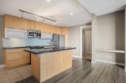 1407-215 13 Avenue SW Calgary, AB T2R 0V6
