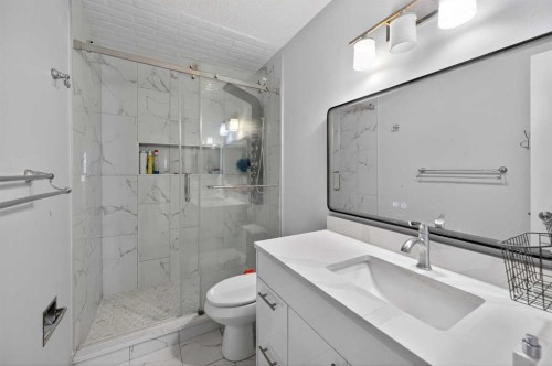 55 Millrise Way Sw, Calgary, AB - Indoor Photo Showing Bathroom