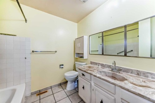 2610 Dover Ridge Drive Se, Calgary, AB - Indoor Photo Showing Bathroom