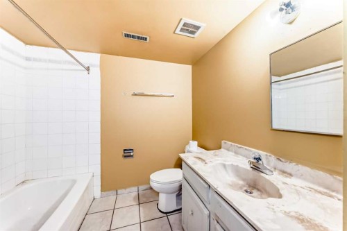 2610 Dover Ridge Drive Se, Calgary, AB - Indoor Photo Showing Bathroom