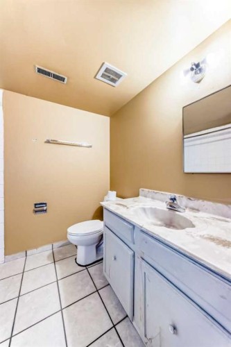 2610 Dover Ridge Drive Se, Calgary, AB - Indoor Photo Showing Bathroom