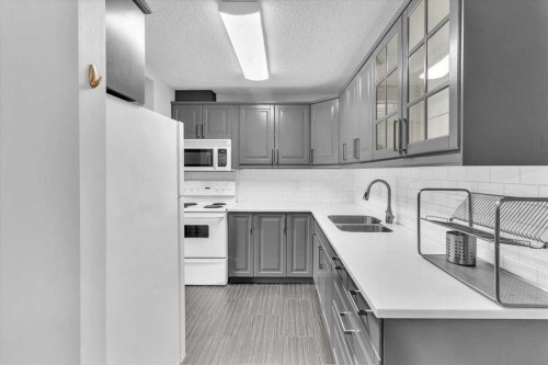 1101-1540 29 Street Nw, Calgary, AB - Indoor Photo Showing Kitchen With Double Sink