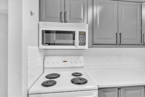 1101-1540 29 Street Nw, Calgary, AB - Indoor Photo Showing Kitchen