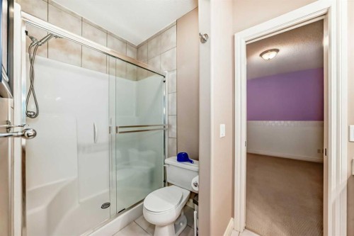 33 Evergreen Common Sw, Calgary, AB - Indoor Photo Showing Bathroom