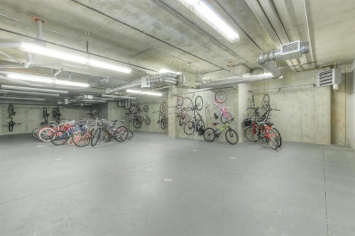 208-100 Cranfield Common Se, Calgary, AB - Indoor Photo Showing Garage