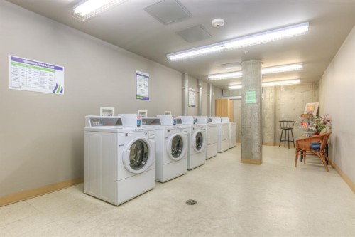 208-100 Cranfield Common Se, Calgary, AB - Indoor Photo Showing Laundry Room