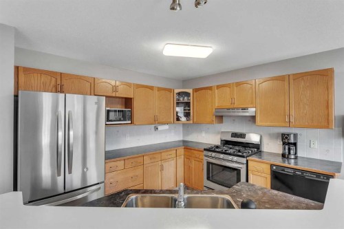 52 Covewood Green Ne, Calgary, AB - Indoor Photo Showing Kitchen With Double Sink