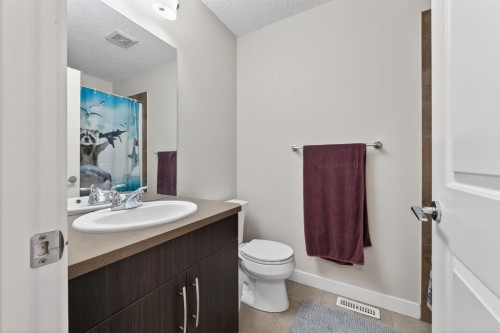 203 Fireside Parkway, Cochrane, AB - Indoor Photo Showing Bathroom