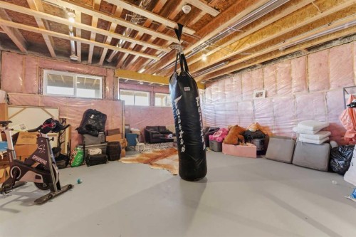 292 Legacy Reach Circle Se, Calgary, AB - Indoor Photo Showing Basement