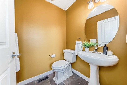 172 Morningside Manor Sw, Airdrie, AB - Indoor Photo Showing Bathroom