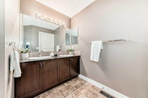 172 Morningside Manor Sw, Airdrie, AB - Indoor Photo Showing Bathroom