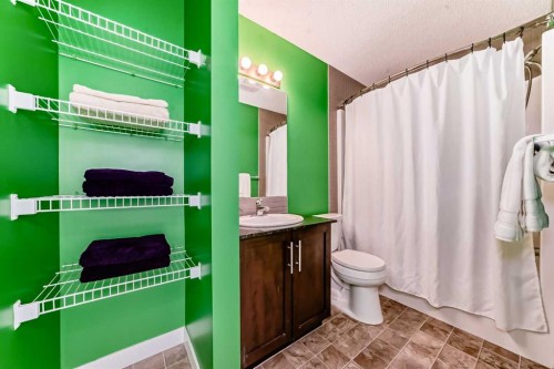 172 Morningside Manor Sw, Airdrie, AB - Indoor Photo Showing Bathroom