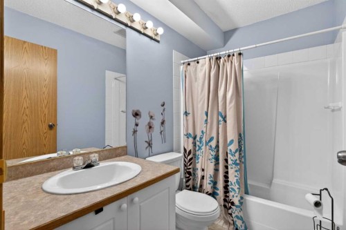 173 Martin Crossing Crescent Ne, Calgary, AB - Indoor Photo Showing Bathroom