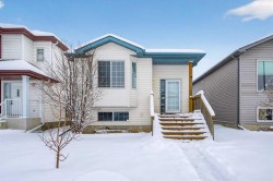 173 Martin Crossing Crescent NE Calgary, AB T3J 3T1