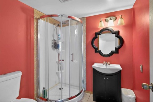 173 Martin Crossing Crescent Ne, Calgary, AB - Indoor Photo Showing Bathroom