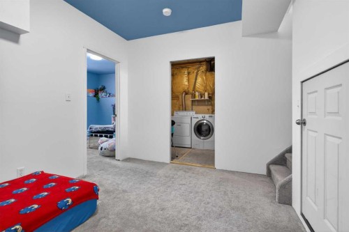 173 Martin Crossing Crescent Ne, Calgary, AB - Indoor Photo Showing Laundry Room
