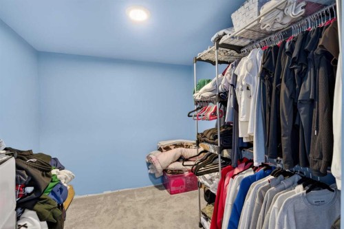 173 Martin Crossing Crescent Ne, Calgary, AB - Indoor With Storage