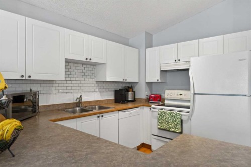 173 Martin Crossing Crescent Ne, Calgary, AB - Indoor Photo Showing Kitchen With Double Sink