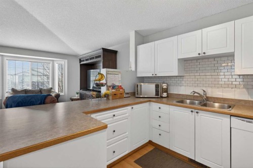 173 Martin Crossing Crescent Ne, Calgary, AB - Indoor Photo Showing Kitchen With Double Sink