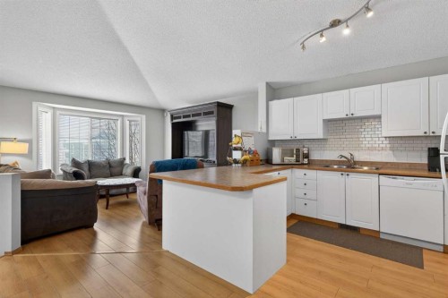 173 Martin Crossing Crescent Ne, Calgary, AB - Indoor Photo Showing Kitchen With Double Sink