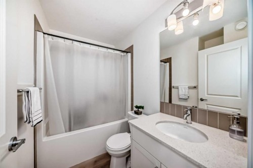 59 Wolf Hollow Way Se, Calgary, AB - Indoor Photo Showing Bathroom