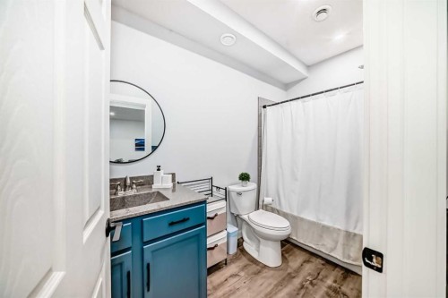 59 Wolf Hollow Way Se, Calgary, AB - Indoor Photo Showing Bathroom