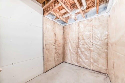 224 Carringham Way Nw, Calgary, AB - Indoor Photo Showing Basement