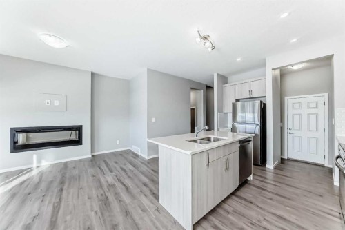 224 Carringham Way Nw, Calgary, AB - Indoor Photo Showing Kitchen With Fireplace With Double Sink
