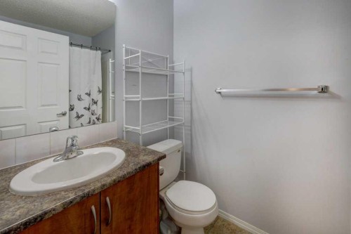 2429-700 Willowbrook Road Nw, Airdrie, AB - Indoor Photo Showing Bathroom