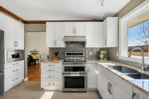 44 Deerbrook Crescent Se, Calgary, AB - Indoor Photo Showing Kitchen With Double Sink