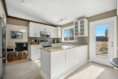 44 Deerbrook Crescent Se, Calgary, AB - Indoor Photo Showing Kitchen With Upgraded Kitchen