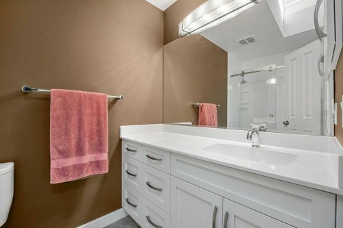 44 Deerbrook Crescent Se, Calgary, AB - Indoor Photo Showing Bathroom